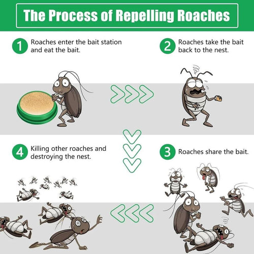 Cockroach Advanced Killing Gel | 🔥50% Savings🔥 (BUY 1 GET 1 FREE)